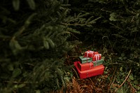 Christmas gift boxes under pine trees and bushes