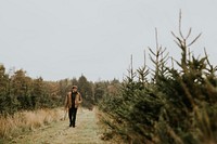 Man carrying a bow saw and looking for a perfect Christmas tree at a Christmas tree farm