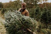 Man hauling a Christmas tree at a Christmas tree farm back home 