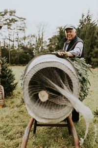 Man wrapping Christmas tree using a Christmas tree wrapping tube at a local Christmas tree farm 