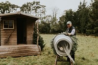 Man wrapping Christmas tree using a Christmas tree wrapping tube at a local Christmas tree farm 