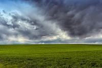 Lush fields under threatening skies in Montezuma County, Colorado. Original image from Carol M. Highsmith&rsquo;s America, Library of Congress collection. Digitally enhanced by rawpixel.