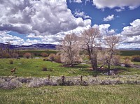 Landscape near the Colorado border in southern Wyoming. Original image from <a href="https://www.rawpixel.com/search/carol%20m.%20highsmith?sort=curated&amp;page=1">Carol M. Highsmith</a>&rsquo;s America, Library of Congress collection. Digitally enhanced by rawpixel.
