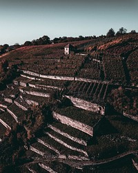 Hills of Enzweihingen, Baden-Wurttemberg, Germany