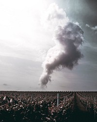 Cloud over fields in Lauffen Am Neckar, Baden-Wurttemberg, Germany