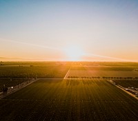 Green field at Manteca, United States