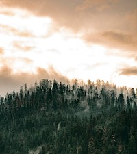 Yosemite National Park in the mist, California USA
