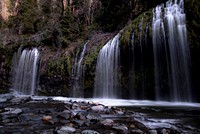 Purakaunui Falls in The Catlins of New Zealand