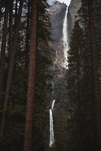 View of Yosemite National Park, United States