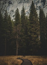 View of Yosemite Valley, United States