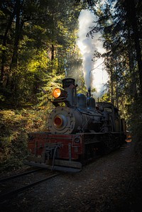 Train running in a forest of Felton, United States