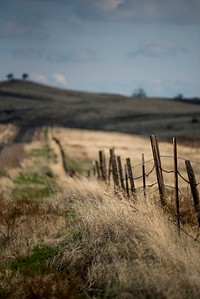 Landscape at Tracy, California, United States