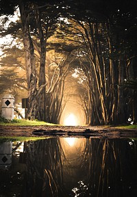 Landscape of Point Reyes National Seashore, United States