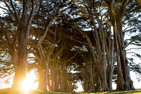 Point Reyes National Seashore, United States