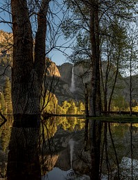 Nature at Yosemite National Park, United States