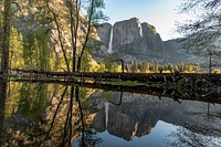 Nature at Yosemite National Park, United States