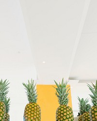 Tropical pineapples in a studio