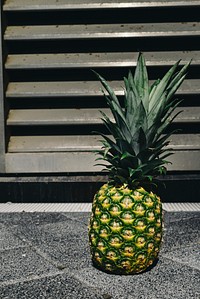 Tropical pineapple in a city