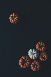 Variety of pumpkins on black background