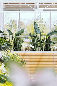 Plants in the Royal Botanical Gardens, Canada