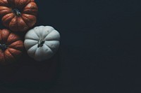 Variety of pumpkins on black background