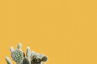 Cactus on a yellow background