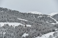 Snow forest in winter