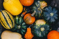 Closeup of various pumpkins. Visit <a href="https://kaboompics.com/" target="_blank">Kaboompics</a> for more free images.