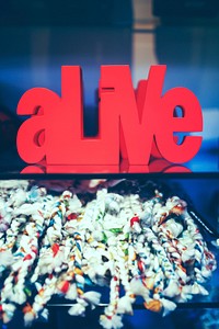 Colorful candies and alive sign