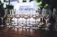 Rows of wine glasses. Visit <a href="https://kaboompics.com/" target="_blank">Kaboompics</a> for more free images.