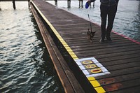 Man walking his dog on a jetty. Visit <a href="https://kaboompics.com/" target="_blank">Kaboompics</a> for more free images.