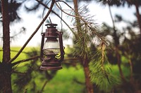 Old lantern hanging in the forest. Visit <a href="https://kaboompics.com/" target="_blank">Kaboompics</a> for more free images.