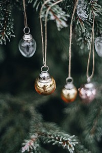 Christmas decorations hanging on a tree. Visit Kaboompics for more free images.