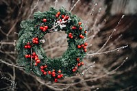 Pine tree Christmas wreath. Visit <a href="https://kaboompics.com/" target="_blank">Kaboompics</a> for more free images.