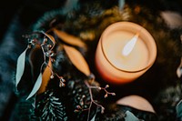 Candle in a pine tree. Visit <a href="https://kaboompics.com/" target="_blank">Kaboompics</a> for more free images.