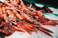 Steamed langoustines on ice. Visit <a href="https://kaboompics.com/" target="_blank">Kaboompics</a> for more free images.