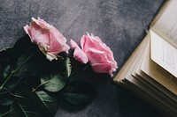 Pink roses by a book. Visit <a href="https://kaboompics.com/" target="_blank">Kaboompics</a> for more free images.