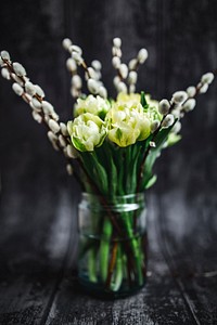 Tulips for spring. Visit <a href="https://kaboompics.com/" target="_blank">Kaboompics</a> for more free images.