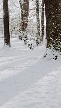 Winter phone wallpaper background, snowy forest