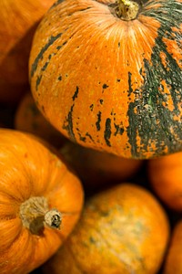 Pumpkins for Halloween. Visit Kaboompics for more free images.