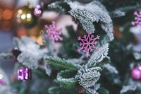 Artificial frost on a christmas tree. Visit <a href="https://kaboompics.com/" target="_blank">Kaboompics</a> for more free images.