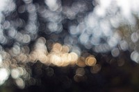 Blurred bokeh lights. Visit <a href="https://kaboompics.com/" target="_blank">Kaboompics</a> for more free images.