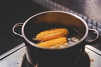 Steamed corn cobs. Visit <a href="https://kaboompics.com/" target="_blank">Kaboompics</a> for more free images.