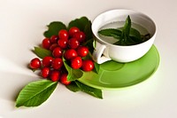 Cup of mint tea. Visit <a href="https://kaboompics.com/" target="_blank">Kaboompics</a> for more free images.
