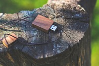 Wooden USB stick in the forest. Visit <a href="https://kaboompics.com/" target="_blank">Kaboompics</a> for more free images.
