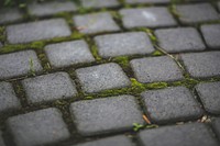 Close up of cobblestone. Visit Kaboompics for more free images.