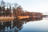 A lake in wintertime. Visit <a href="https://kaboompics.com/" target="_blank">Kaboompics</a> for more free images.
