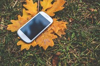 Smartphone in the autumn. Visit <a href="https://kaboompics.com/" target="_blank">Kaboompics</a> for more free images.