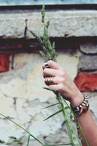 Woman holding some grass. Visit Kaboompics for more free images.