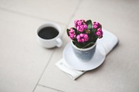 Pink flowers and a coffee cup. Visit <a href="https://kaboompics.com/" target="_blank">Kaboompics</a> for more free images.